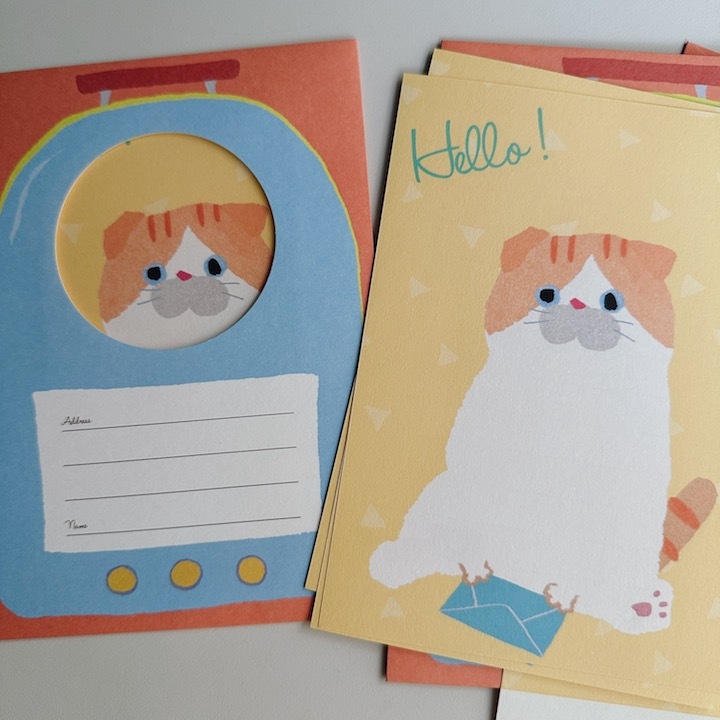 藍色 毛茸茸貓咪  透明窗 信紙信封組｜日本ACTIVE CORPORATION