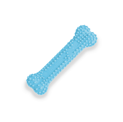 Nylabone 幼犬潔牙玩具棒 (藍色)