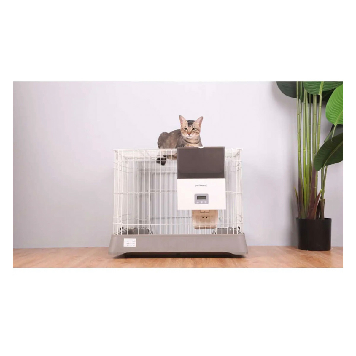 PetWant F4 LCD 自動寵物餵食器