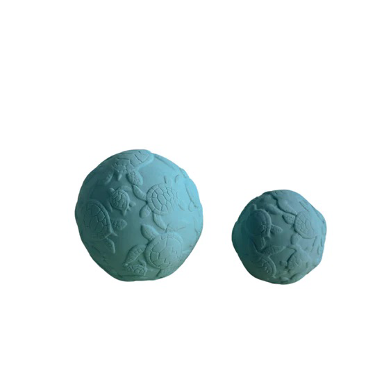 動物感官球/ 海龜