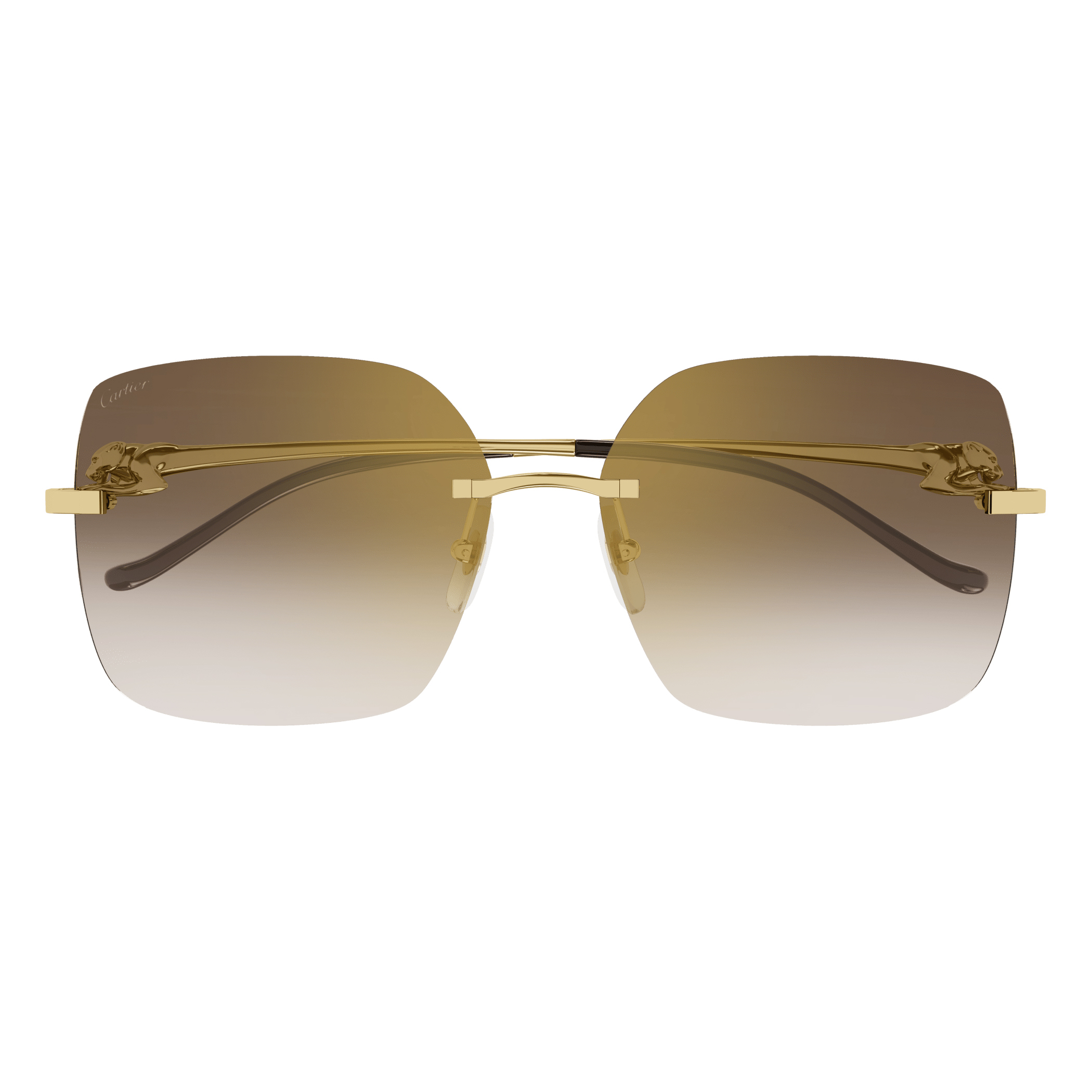 Cartier - CT0359S／002