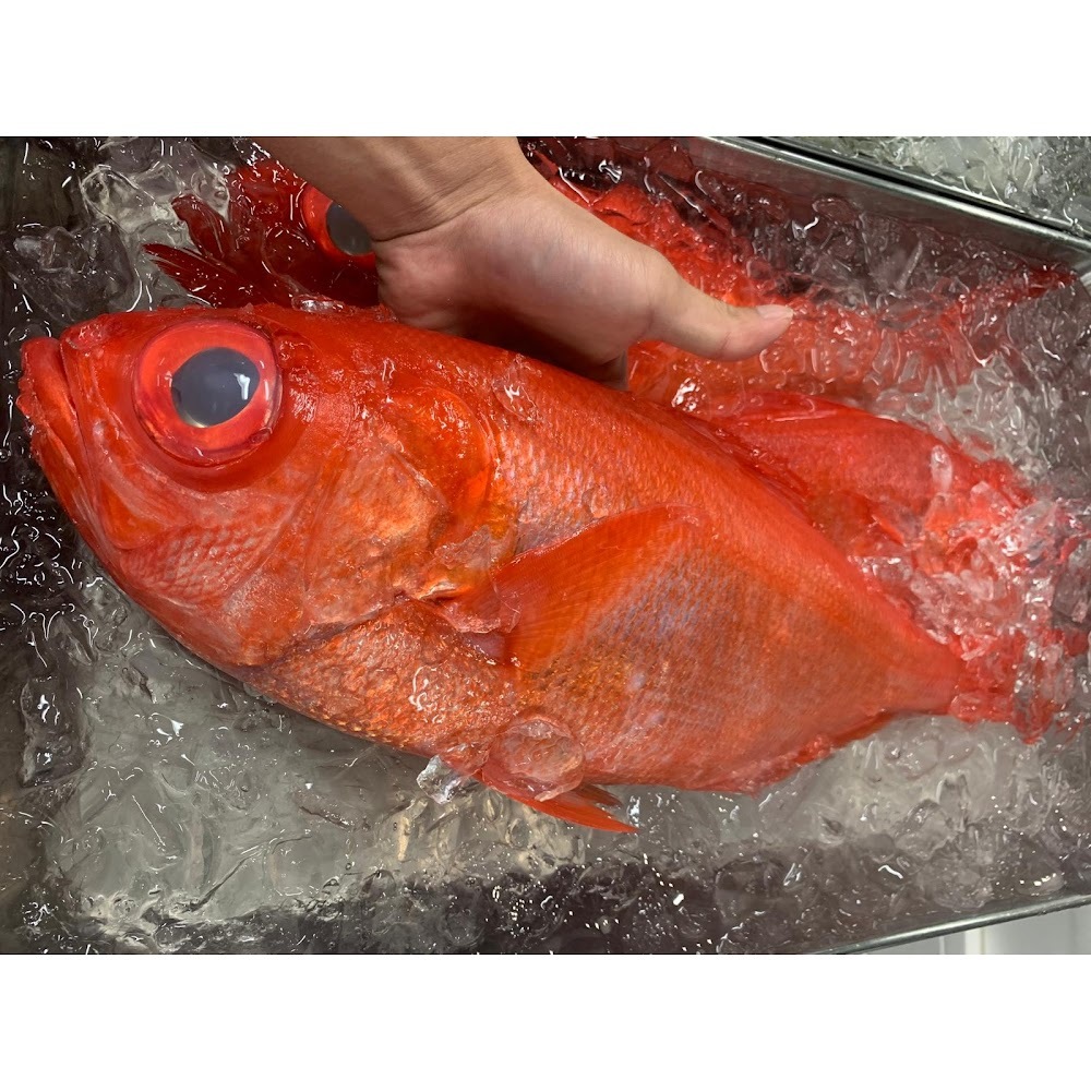 鮮金目鯛(大) -- 每條(靜岡下田產)