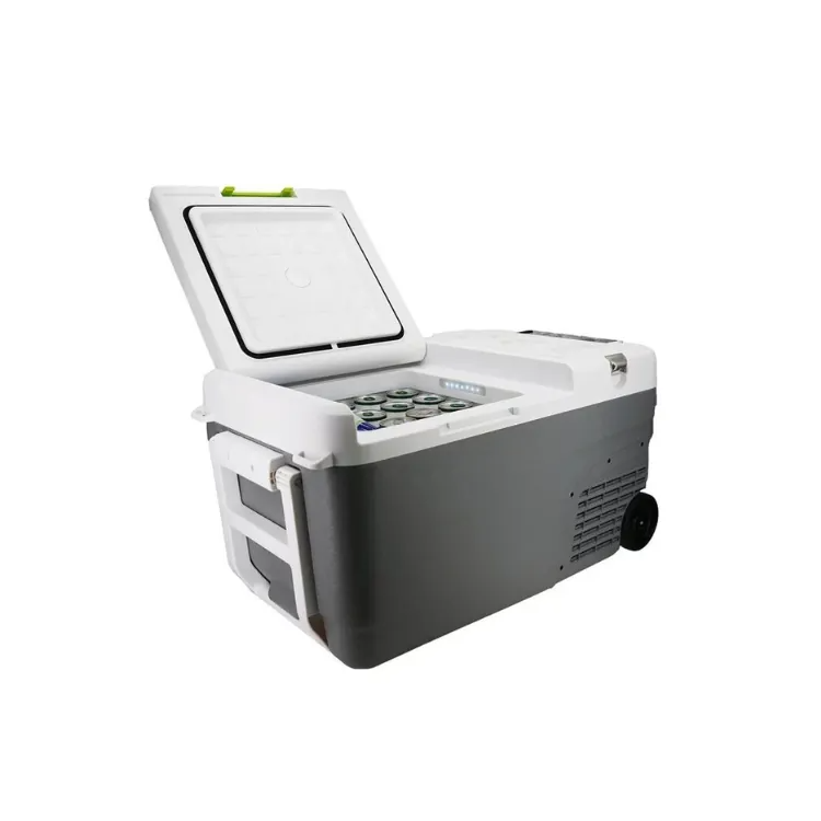 WORX 威克士 WU098 流動雪櫃 20V 鋰電