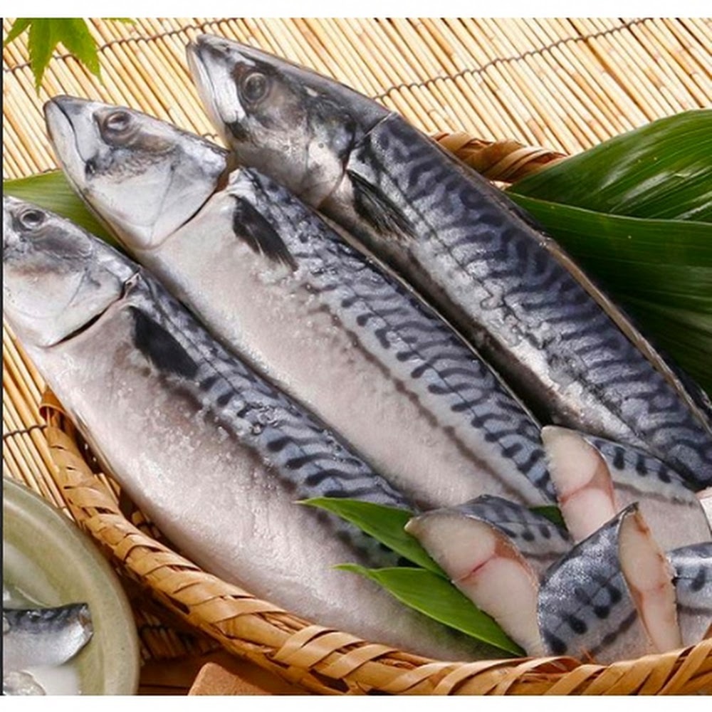 鮮鯖花魚 (養殖) -- 每條