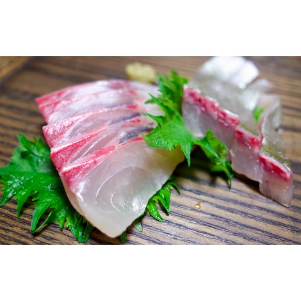 鮮縞鰺 (深海池魚) -- 每條(大分産)