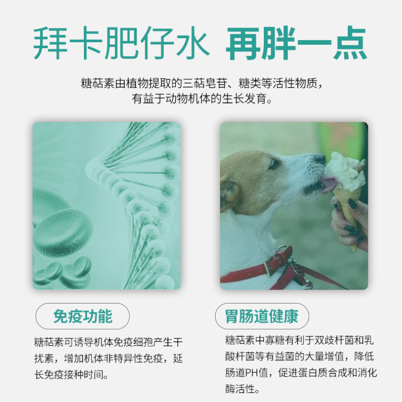 BELCO肥宅水 增强食欲 强化免疫力 30ml 瘦小犬猫用
