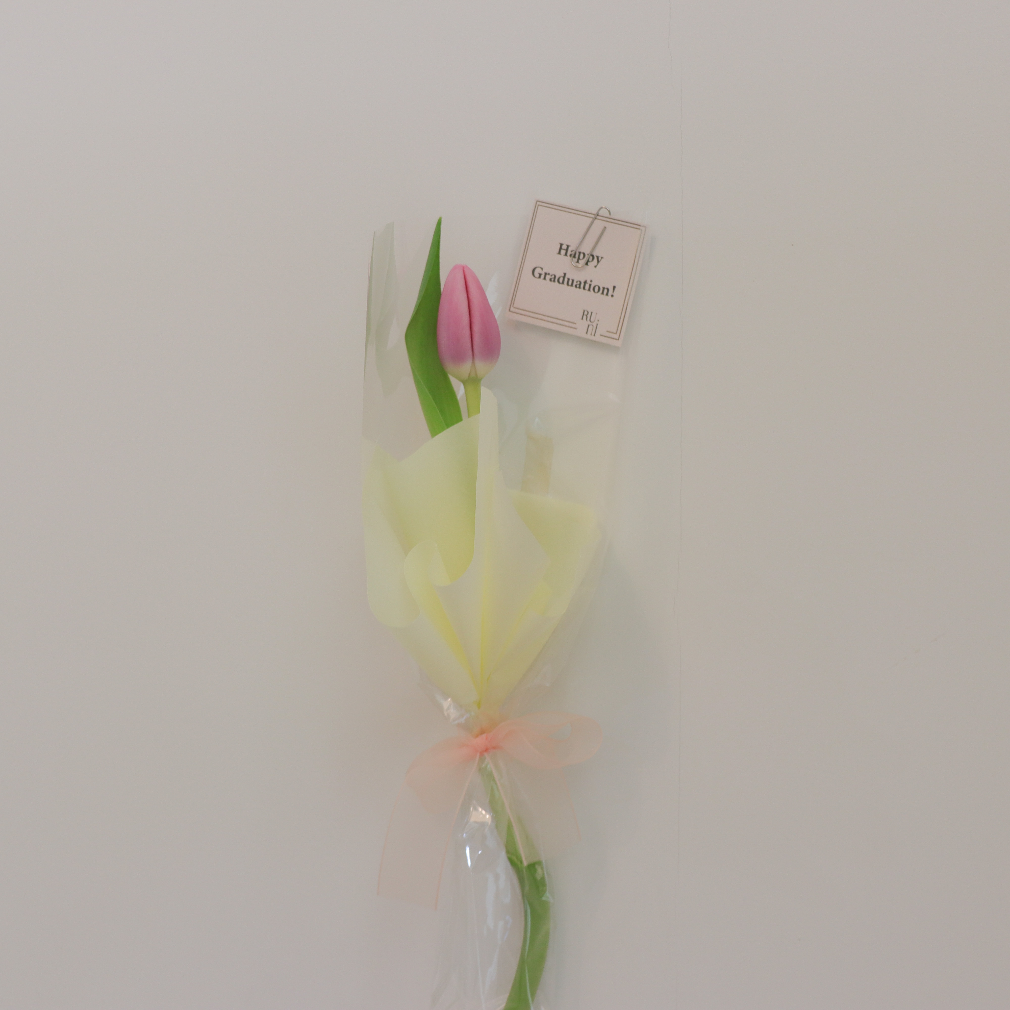 畢業快樂-簡單小花束 單支鬱金香花束