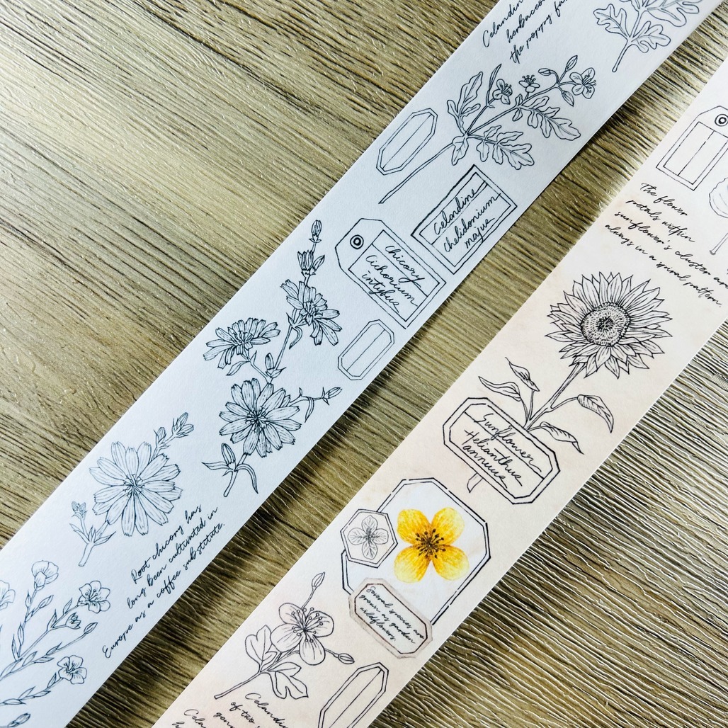 喵吉星．Botanical Sketch 植物素描(黑墨/彩墨) 4cm日本和紙膠帶 <整捲/分裝>