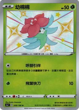 S4aF 209/190 幼棉棉