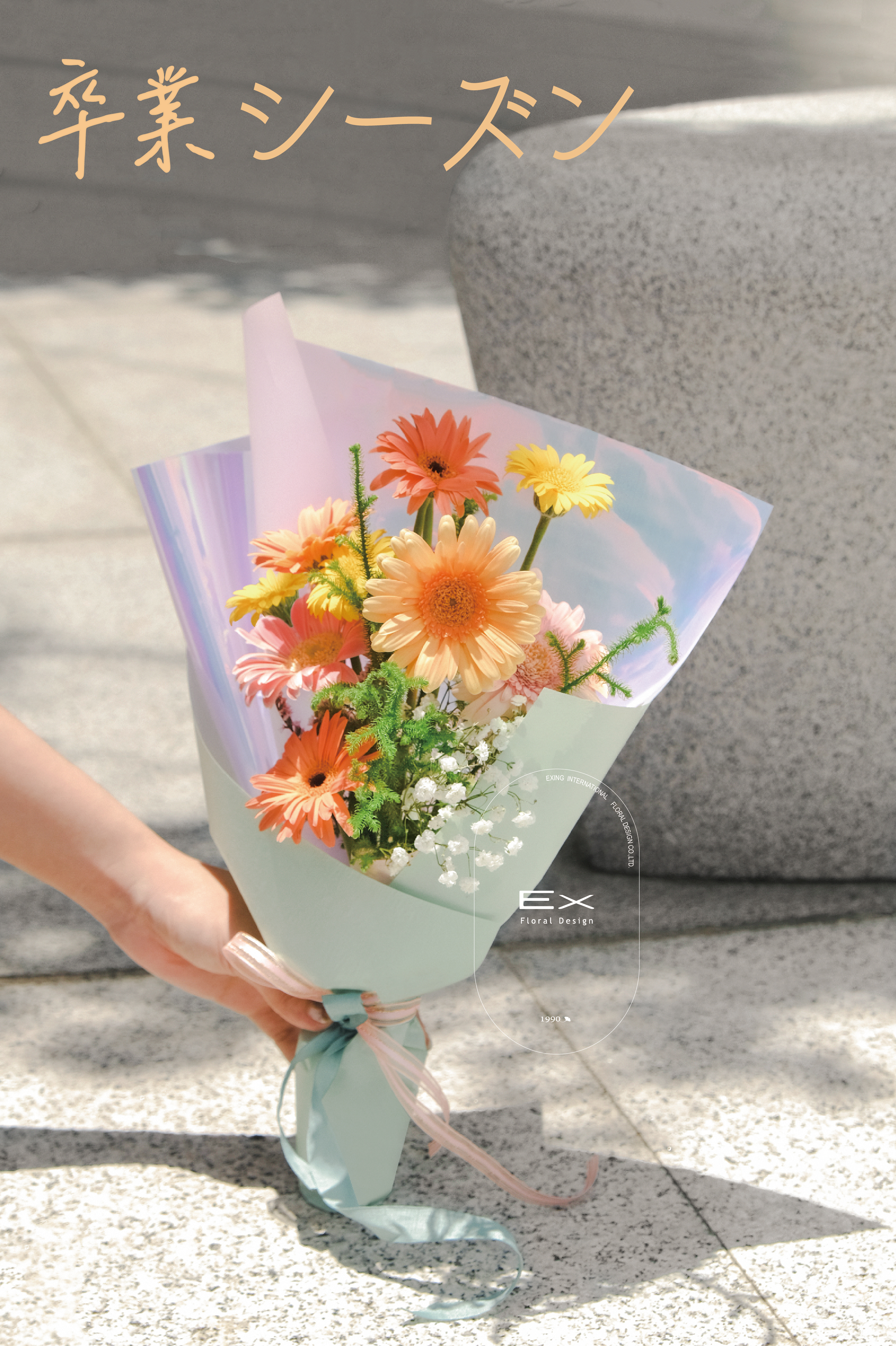 迷你太陽花｜如太陽般明朗的心