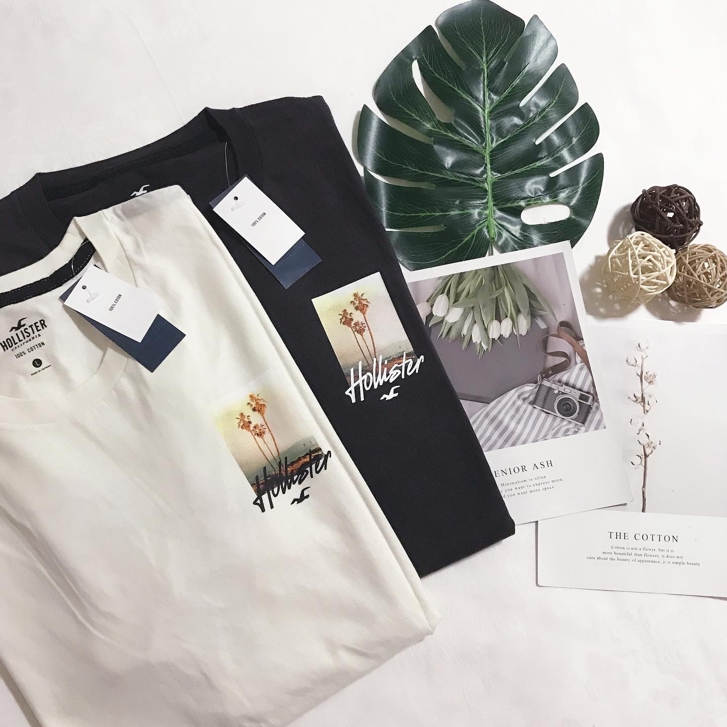 HOLLISTER PALM TREE BACK PRINT TEE