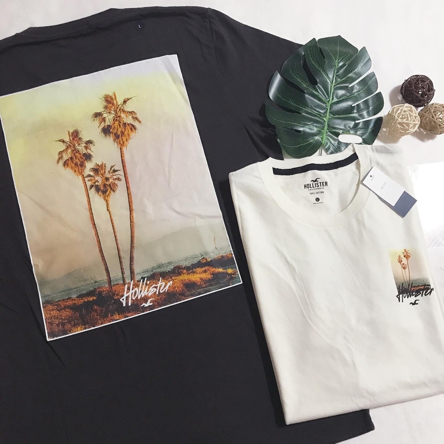 HOLLISTER PALM TREE BACK PRINT TEE