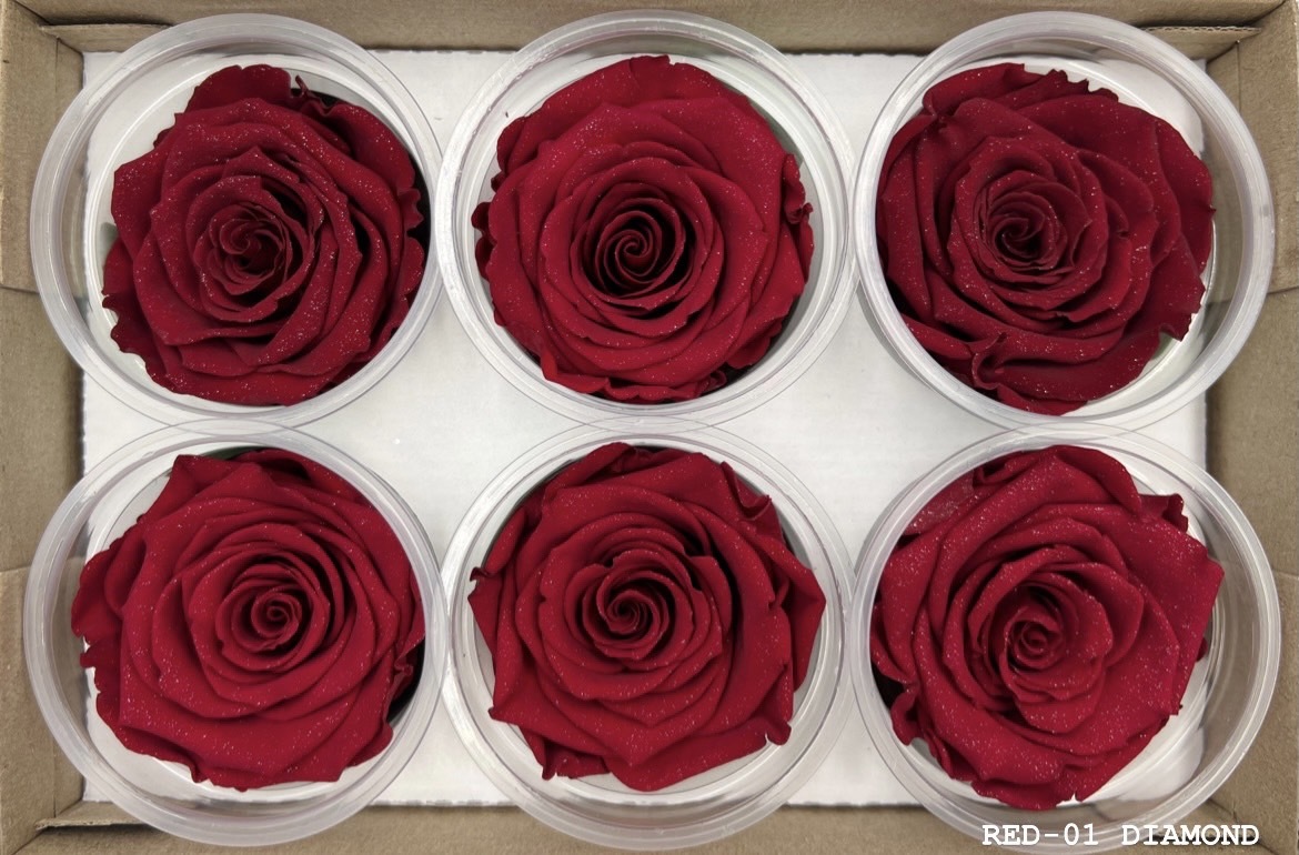 厄瓜多 ROSEAMOR XL Diamond Dust  (閃耀紅系列)