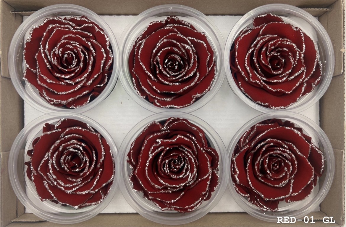 厄瓜多 ROSEAMOR XL GL SIL