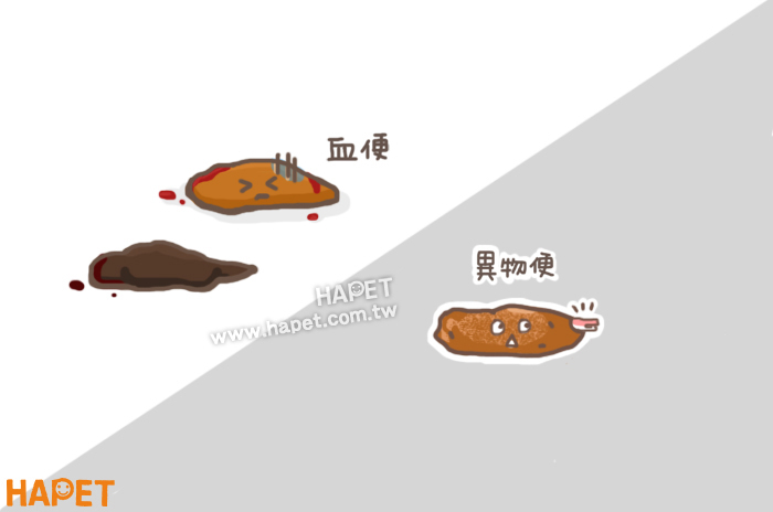 從狗便便判斷基本身體狀況