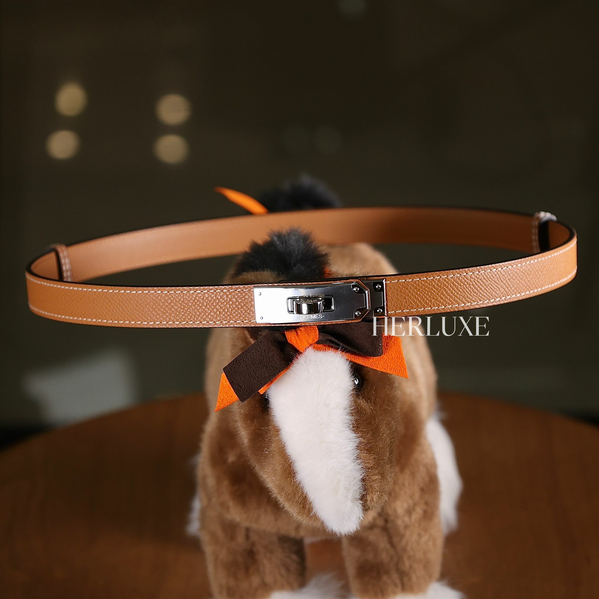 Kelly belt 37 gold ck epsom