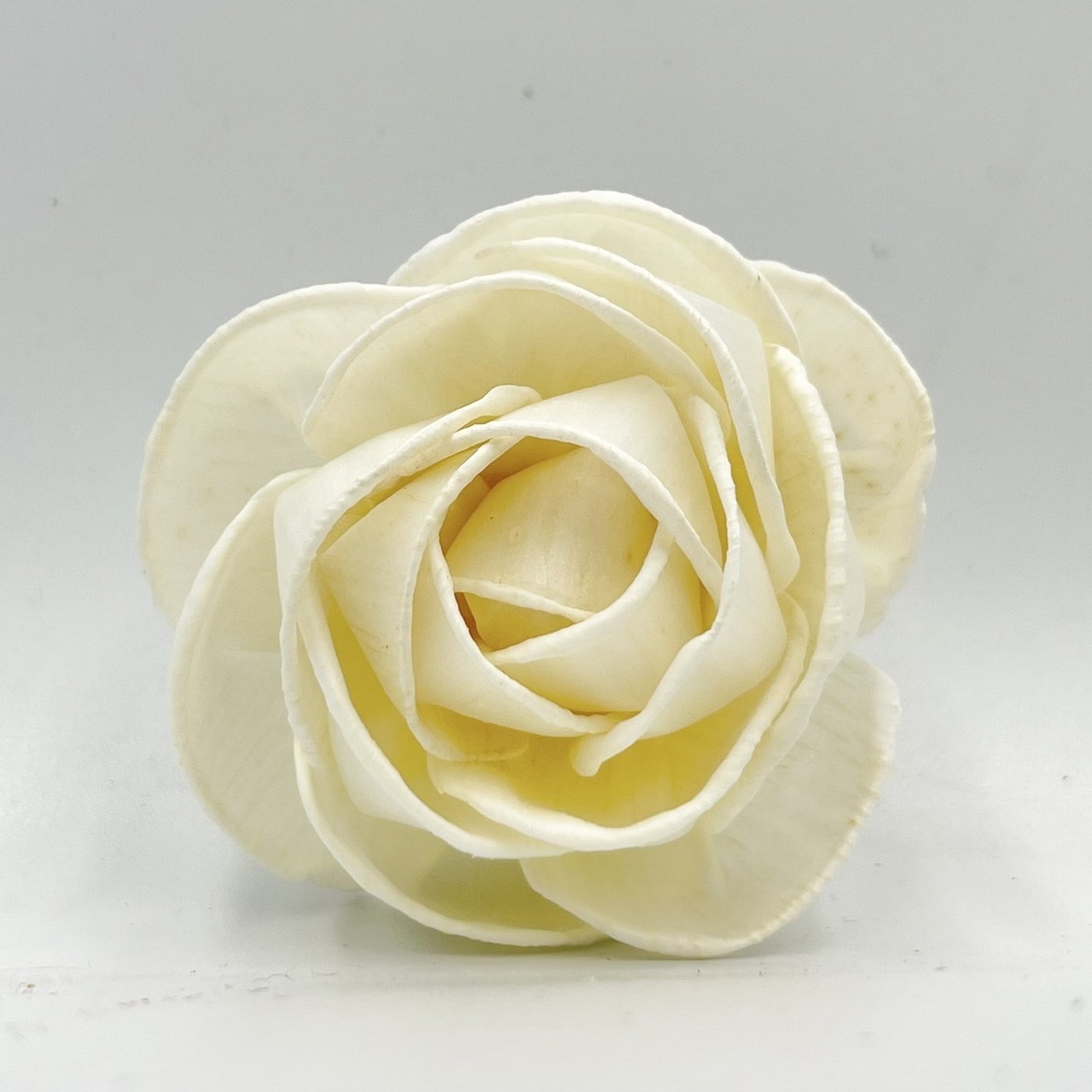 泰國索拉花 厚瓣玫瑰花 6CM  <十支一把>  (高品質)