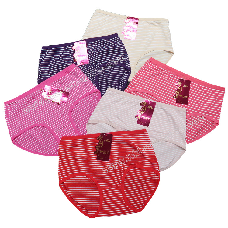 4條裝 女裝高腰橫間內褲