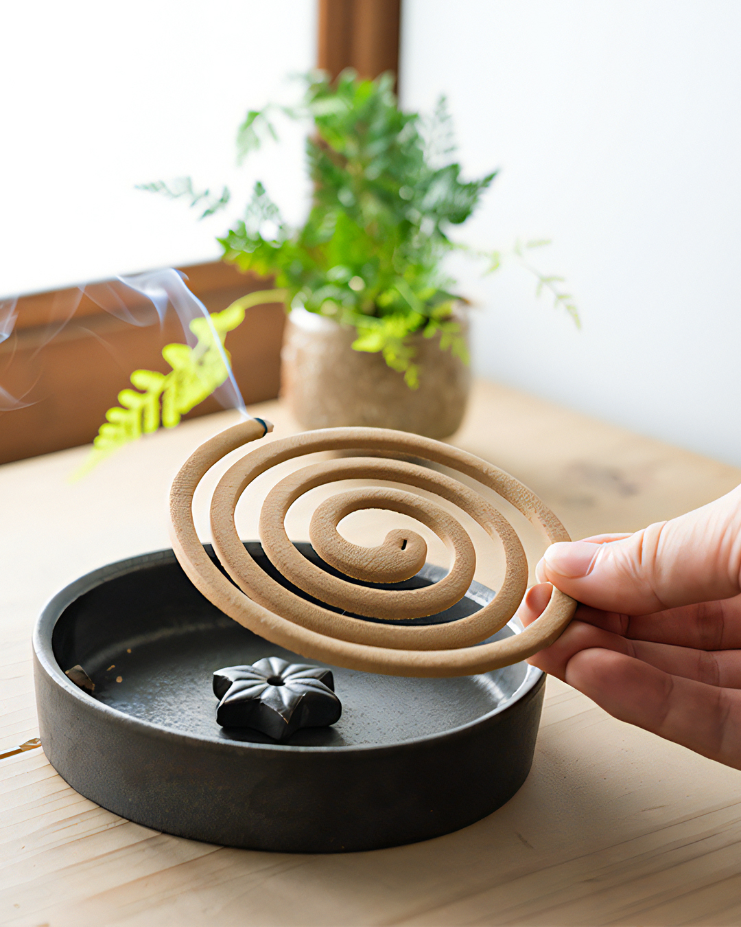 麻葉紋蚊香香爐｜信樂燒