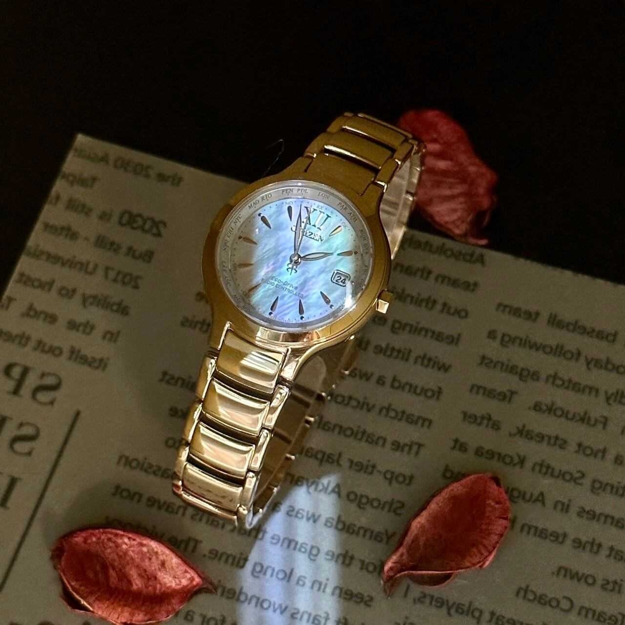 【CITIZEN】EC1173-87D 30mm Modern Watch