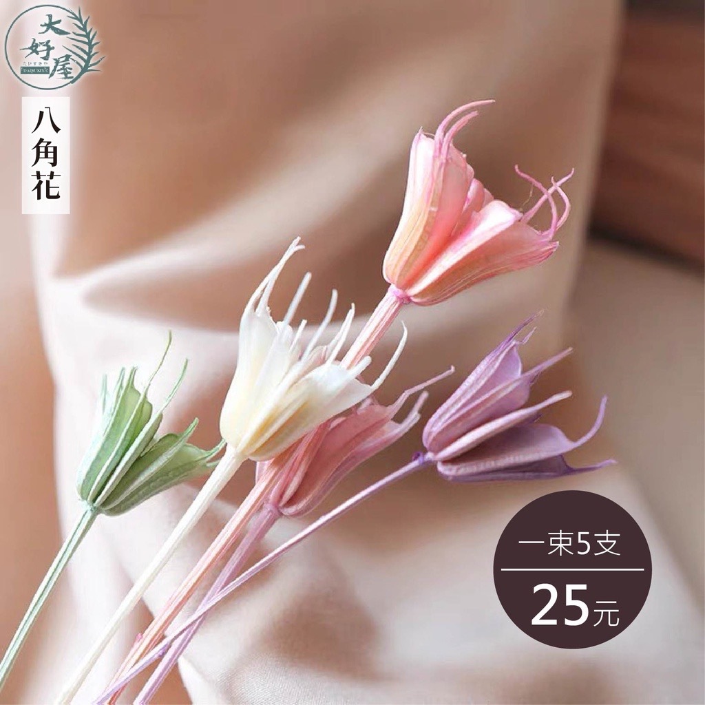 永生八角【5枝裝】(木百合)