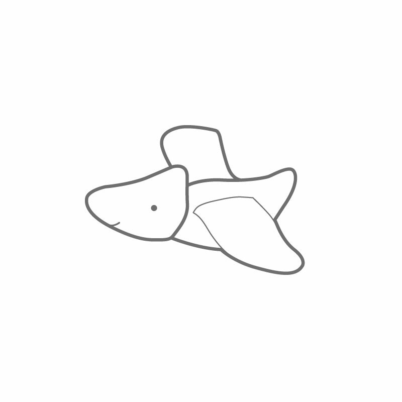 飛行員翼手龍 / 羊毛氈體驗課程