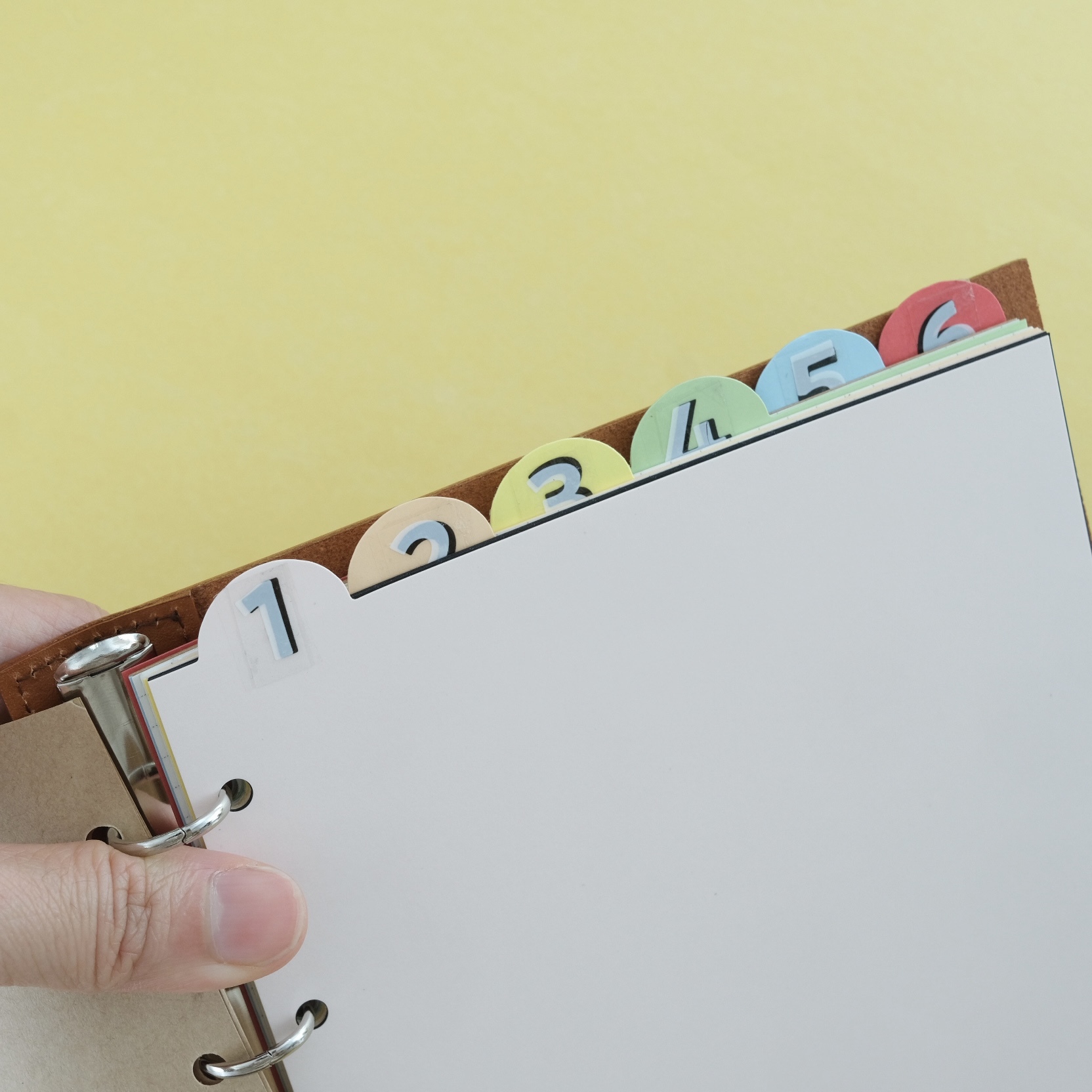 HBWA5 Index 彩色分隔頁｜ASHFORD 日本