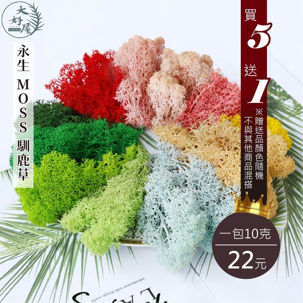 永生MOSS馴鹿草【10克 / 自黏袋】
