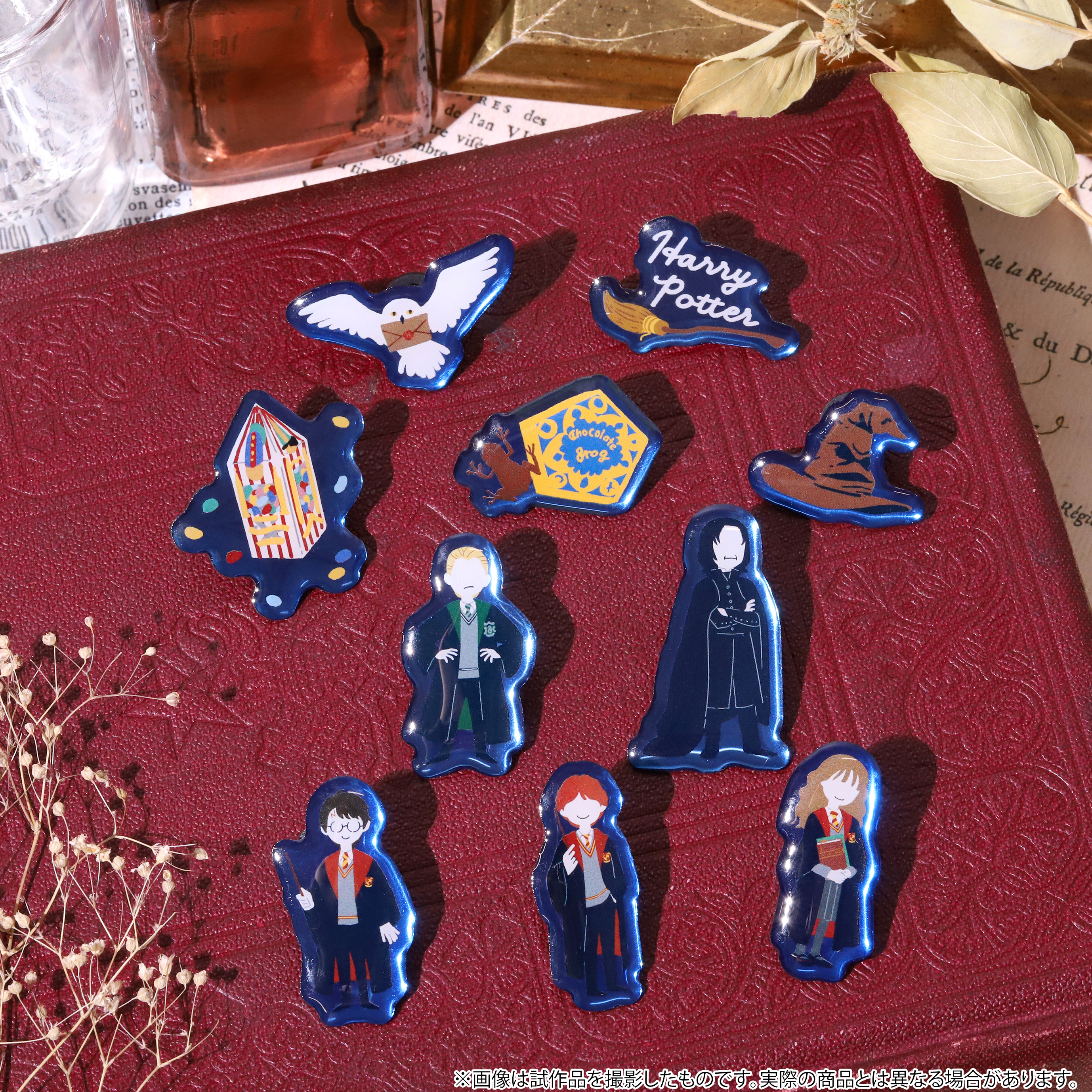 「ACG.GO」「預購」Harry Potter 徽章Collection