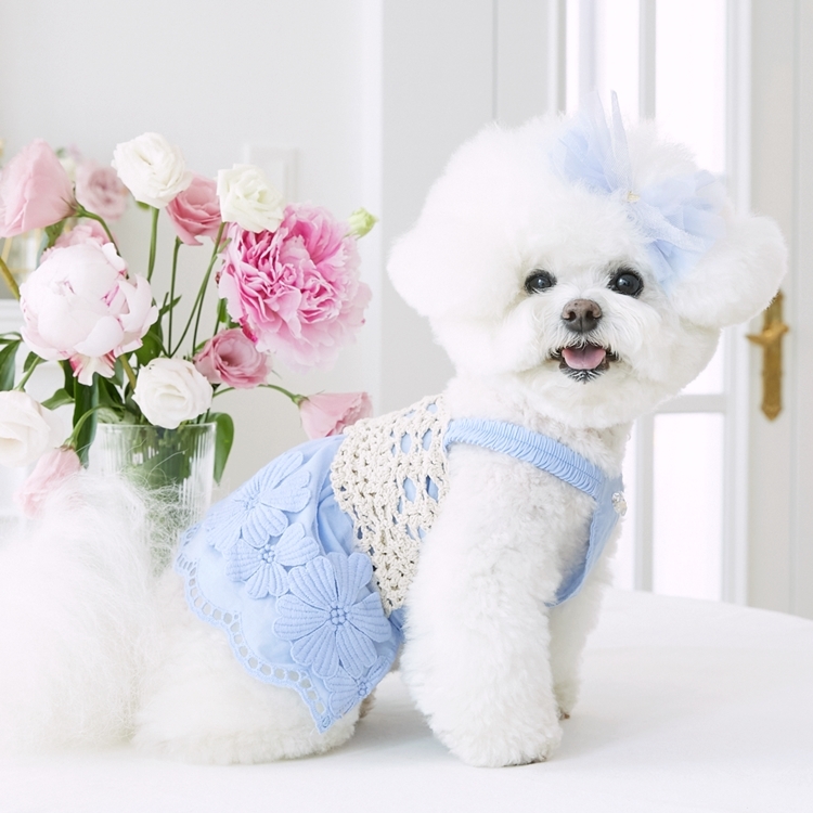 iLo iLo 牡丹上衣