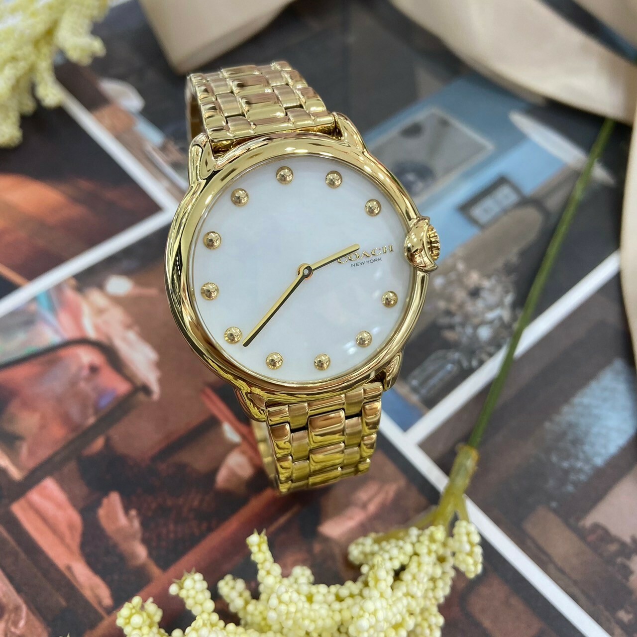 【COACH】金殼白貝面練帶錶CO14503987 36mm 現代鐘錶