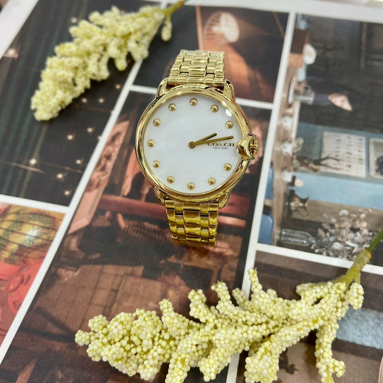 【COACH】金殼白貝面練帶錶CO14503987 36mm 現代鐘錶