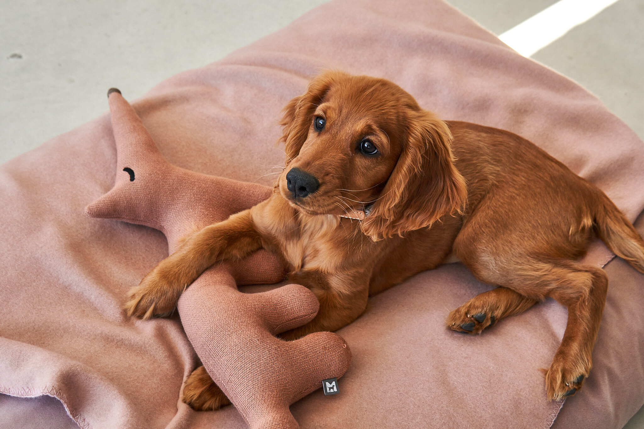 德國MiaCara Bosco針織抱抱玩偶