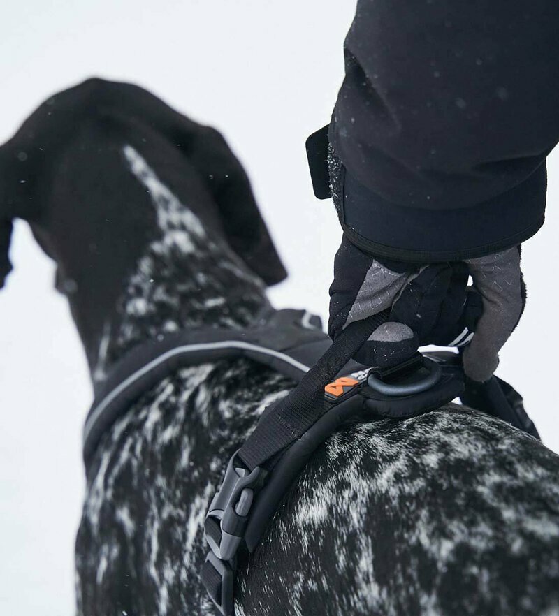 【Non-stop dogwear】LINE胸背帶（手把款）