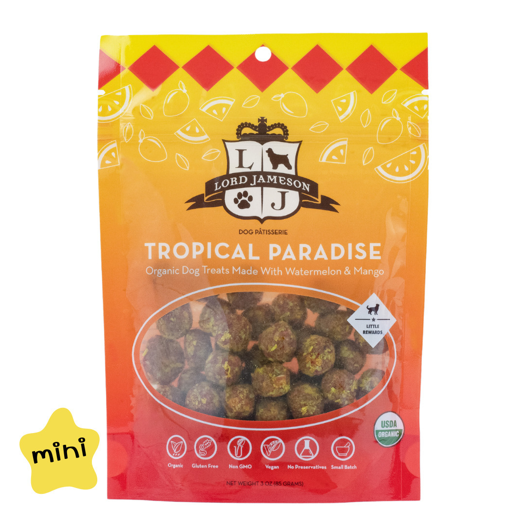 【Lord Jameson 樂健森】熱帶饗宴 迷你能量球