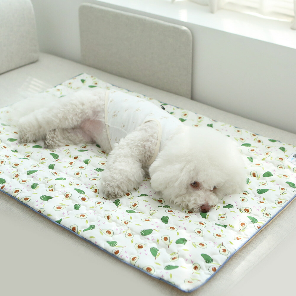 ITS DOG 夏日果物冰絲床墊組