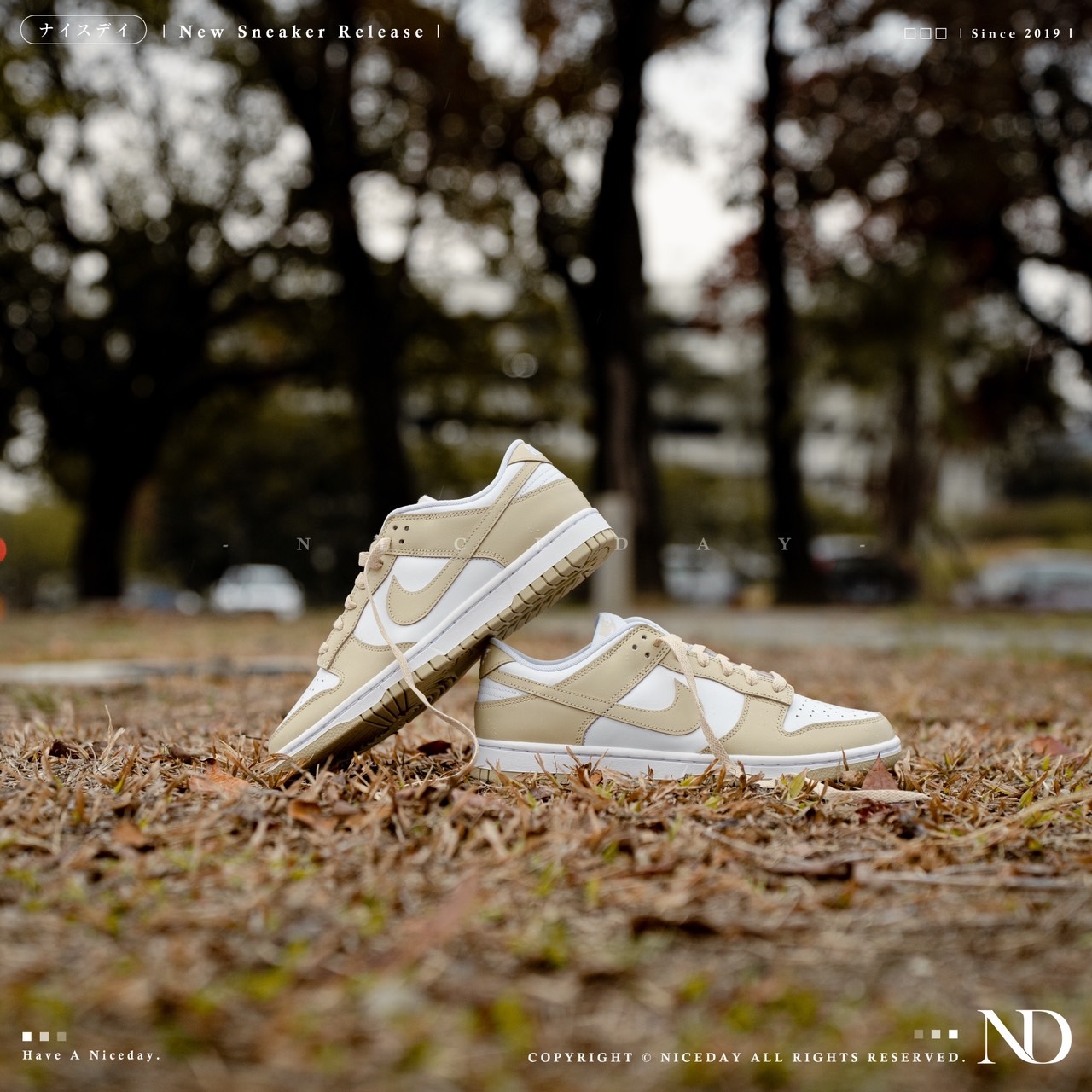NICEDAY 現貨 Nike Dunk Low 小麥奶茶色 奶茶 卡其 男女 DV0833-100