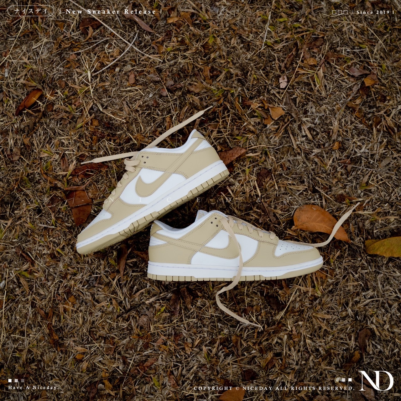 NICEDAY 現貨 Nike Dunk Low 小麥奶茶色 奶茶 卡其 男女 DV0833-100