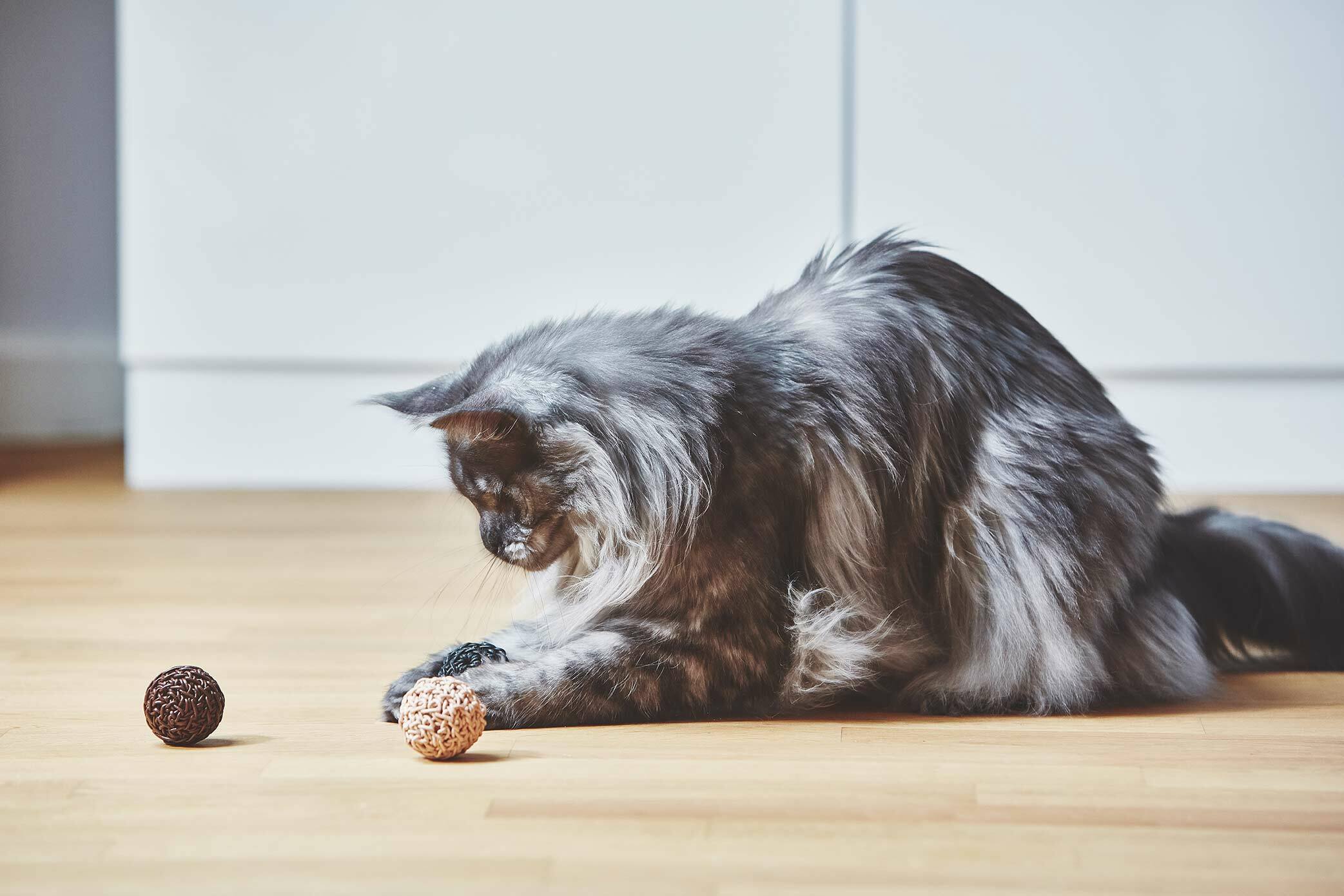 德國MiaCara Filo貓軟木球