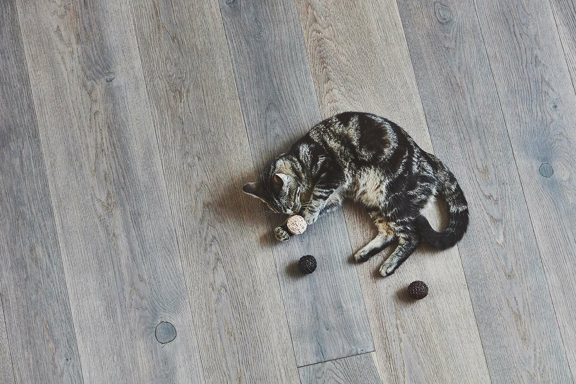 德國MiaCara Filo貓軟木球