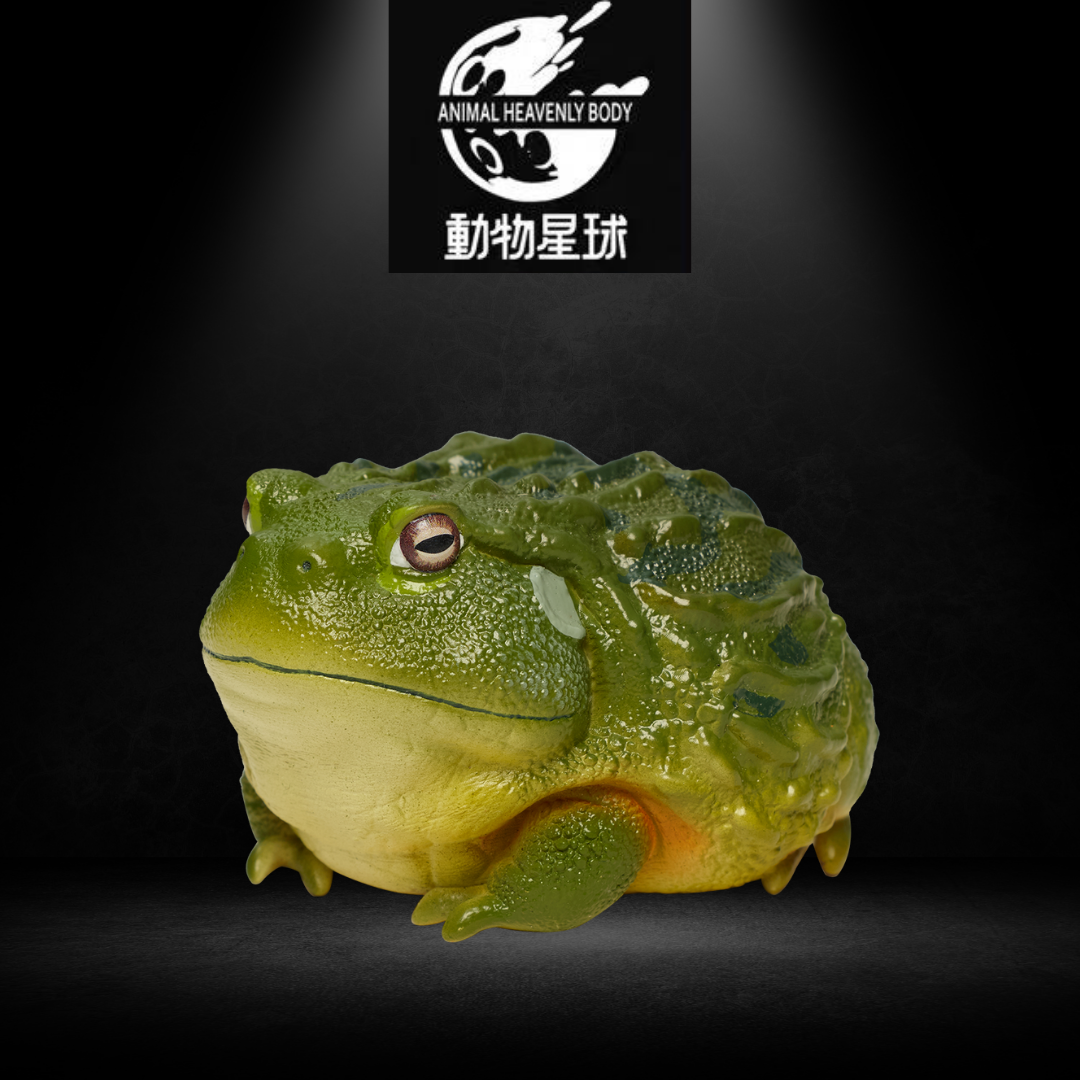 Animal Planet Figures - African bullfrog
