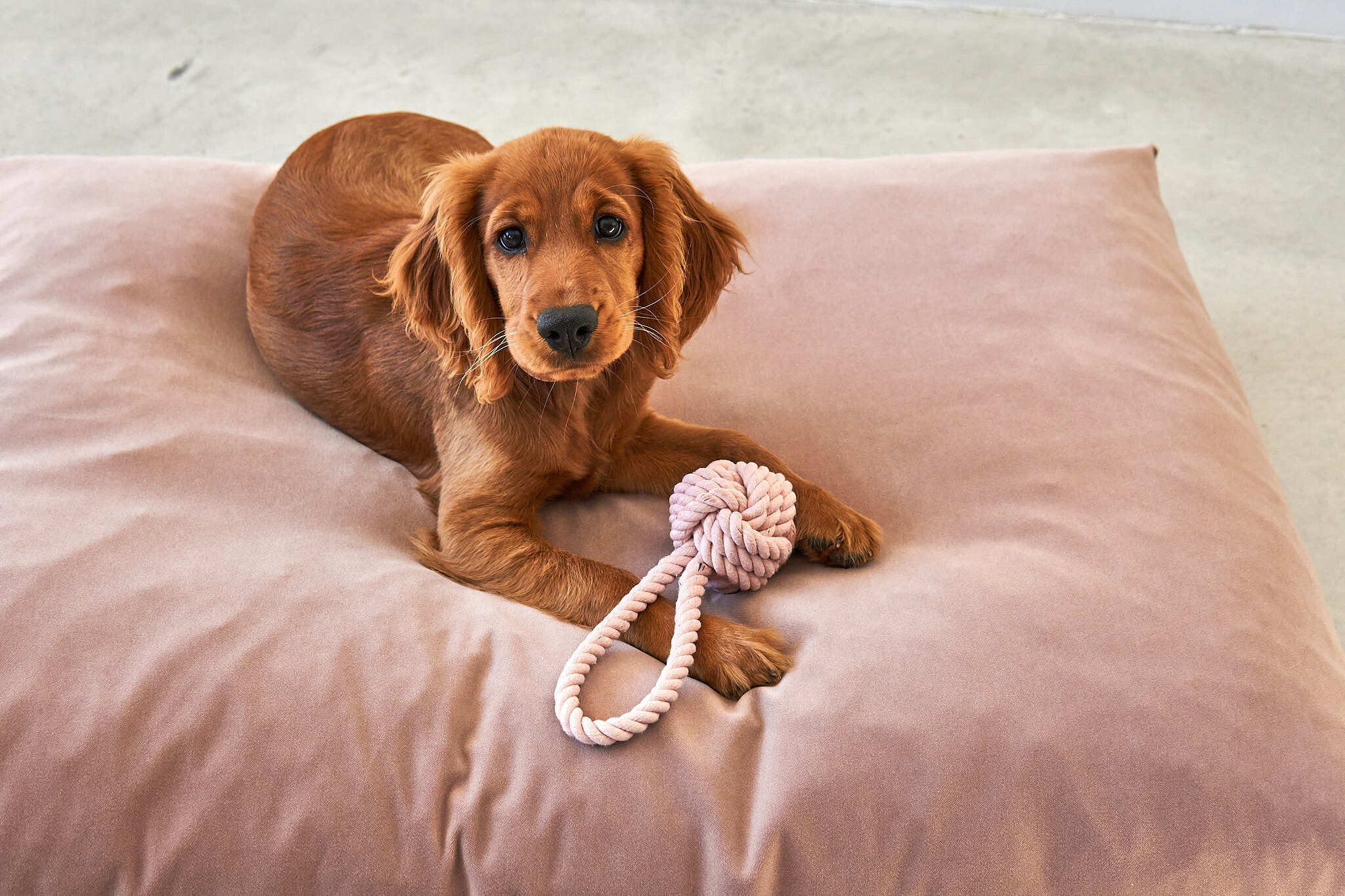 德國MiaCara Nodo繩球 - 粉