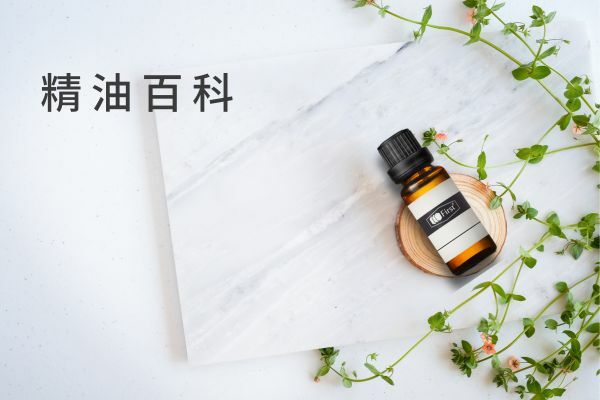 精油香氛知識文章