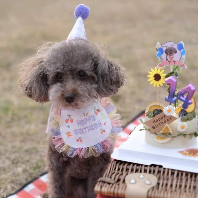 猫咪狗狗生日派對Happy Birthday 巾巾+生日帽 (浪漫糖果色)
