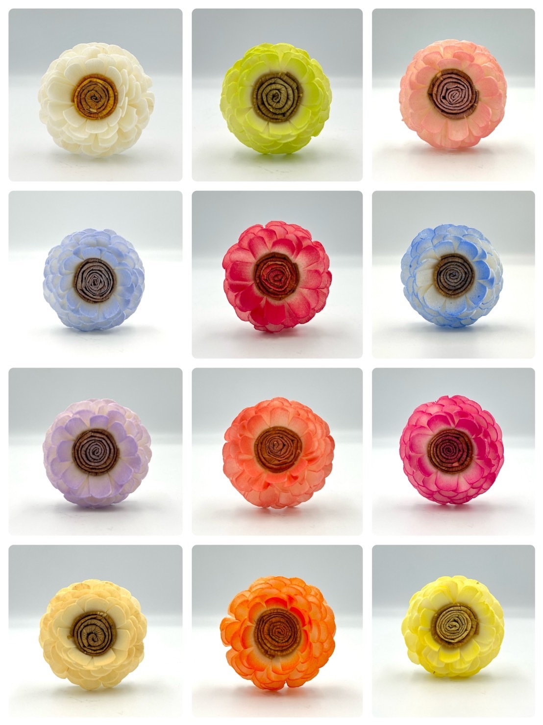 泰國索拉花 陸連 6CM <十支一把> (高品質)