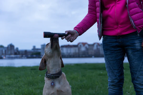 Ledlenser 手電筒 P14