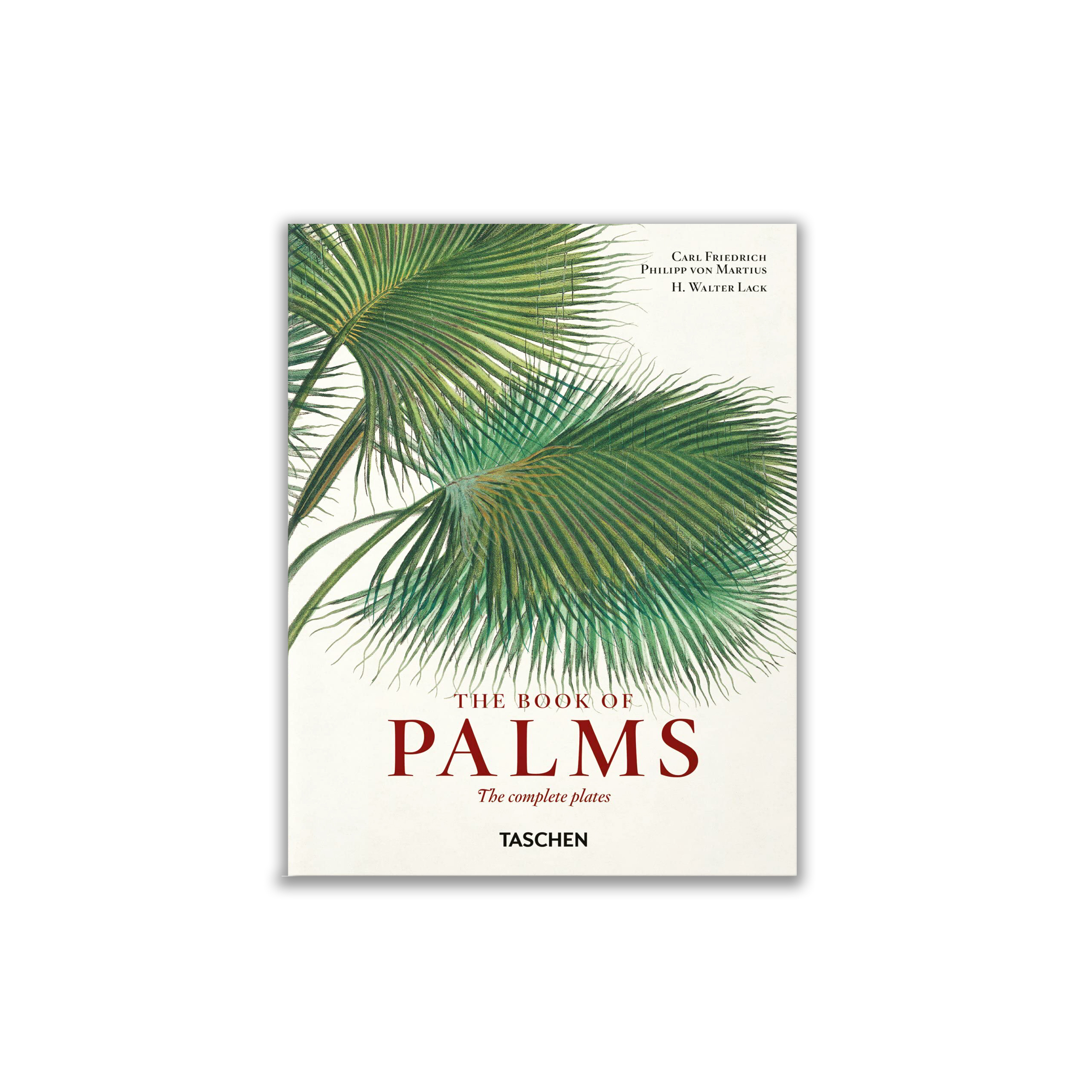 Martius. The Book of Palms. 40th Anniversary Edition