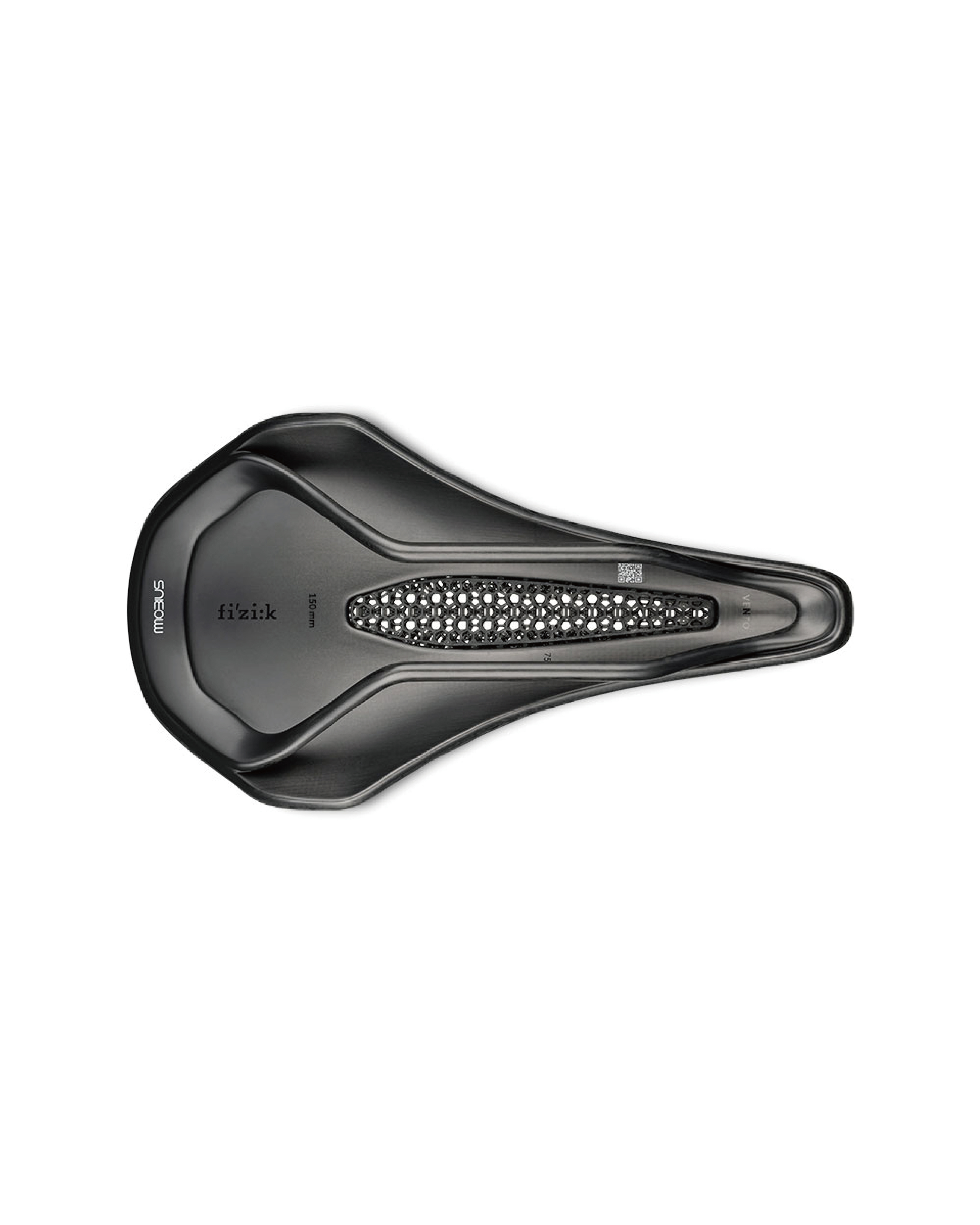 Fizik】VENTO ARGO 00 ADAPTIVE