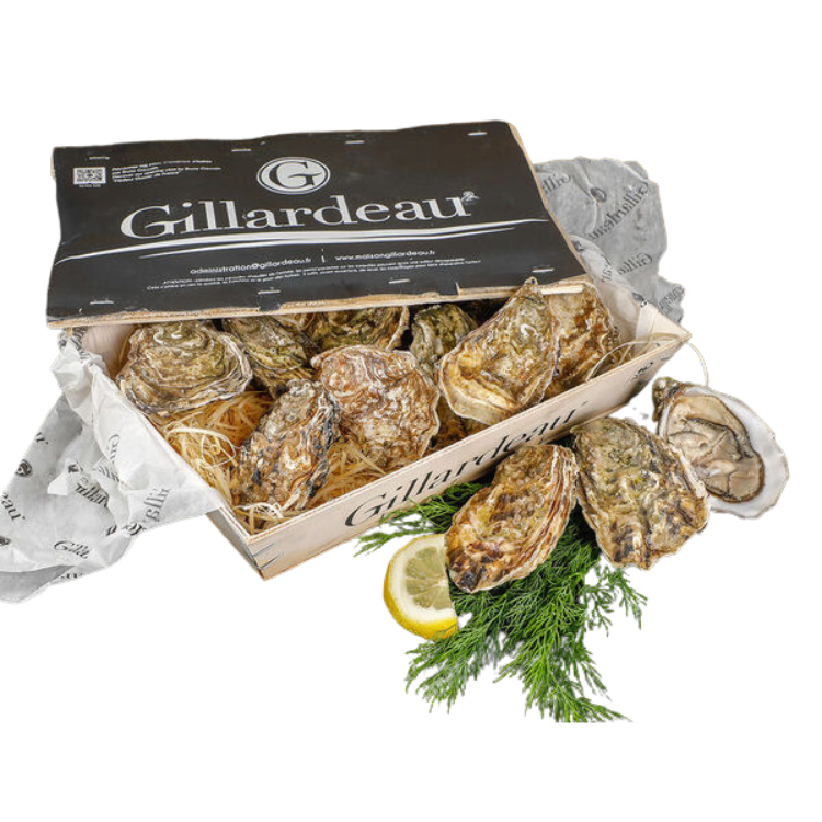 French Gillardeau Special Live Oyster by a (No.0 - No.3