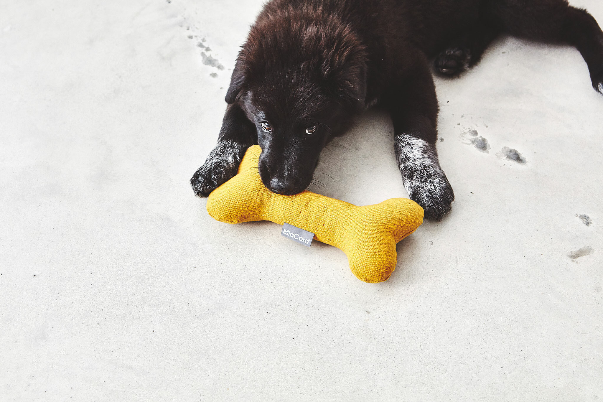 德國MiaCara｜Stella骨頭玩具